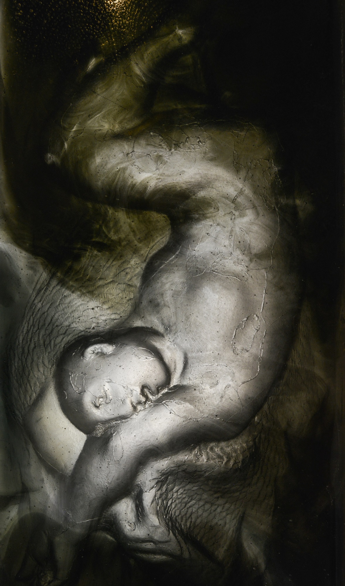 Galerie Barina - Pâte de verre